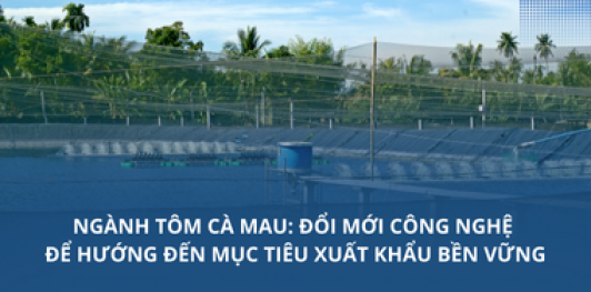 Ngành tôm Cà Mau: Đổi mới công nghệ để hướng đến mục tiêu xuất khẩu bền vững